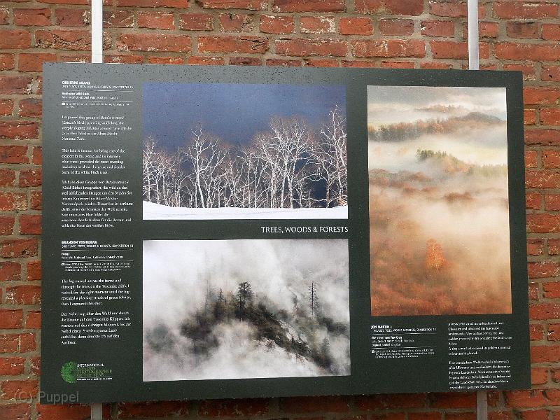 P2320190.JPG