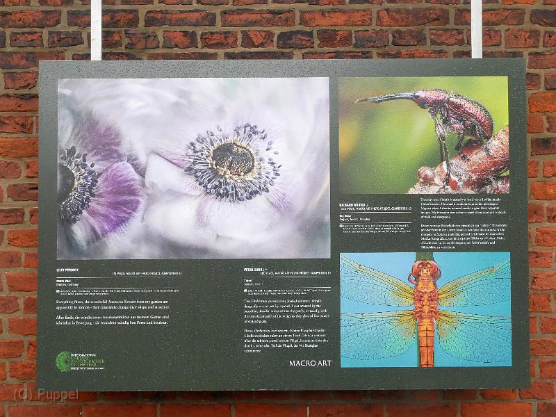 P2320210.JPG