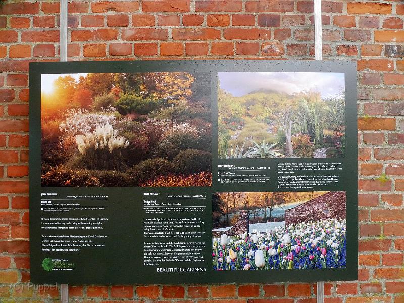 P2320239.JPG
