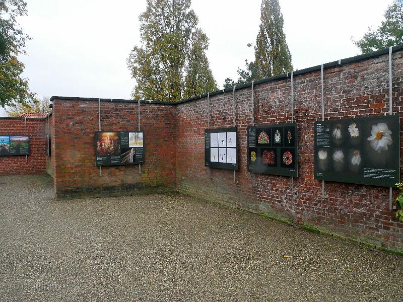 P2320290.JPG