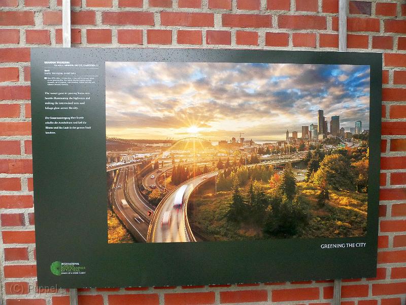 P2320295.JPG