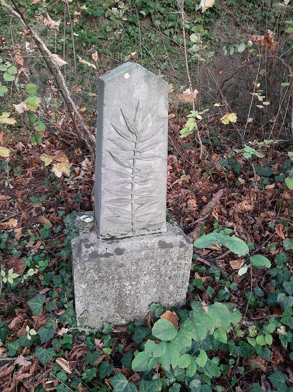 20201109_154528.jpg