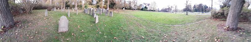 20201109_155005.jpg
