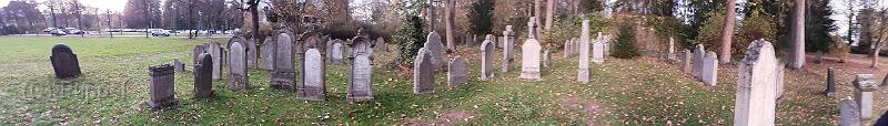 20201109_155602a.jpg