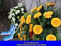 IMG_7554-a
