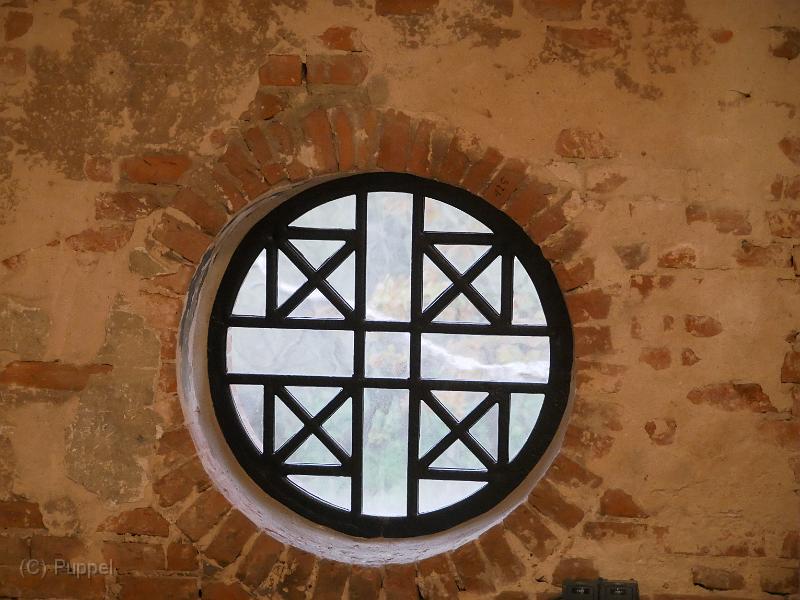 T-20201127-105109_P2700892-gx1.JPG