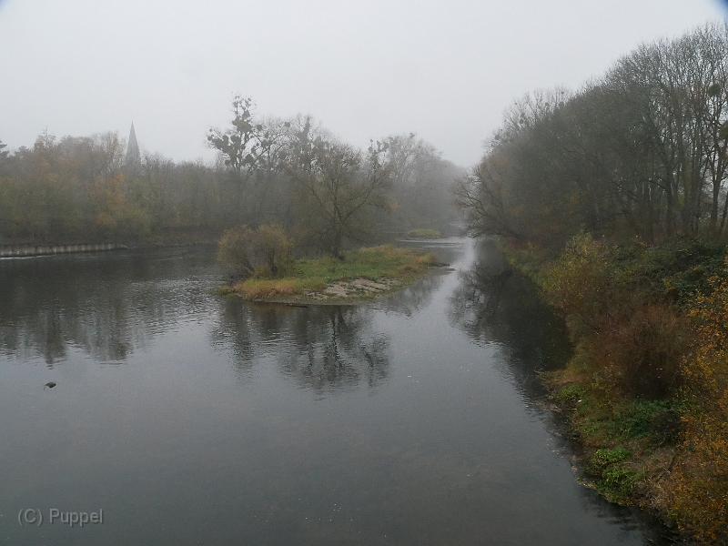 T-20201127-110740_P2710027-gx1.JPG