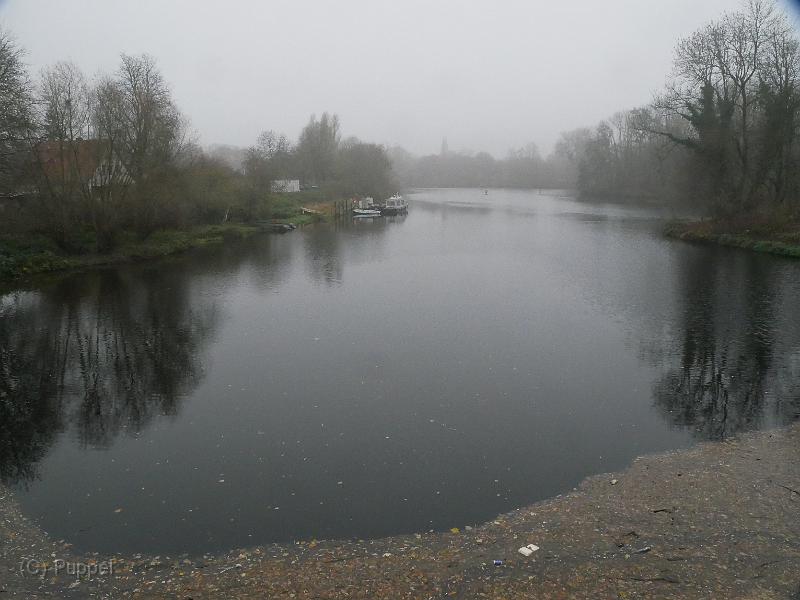 T-20201127-110749_P2710033-gx1.JPG