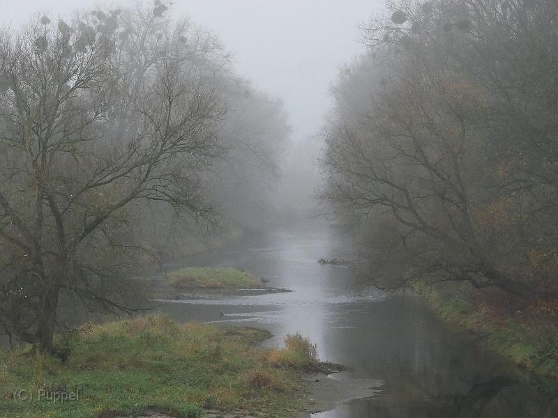 T-20201127-110945_P2710045-gx1.JPG