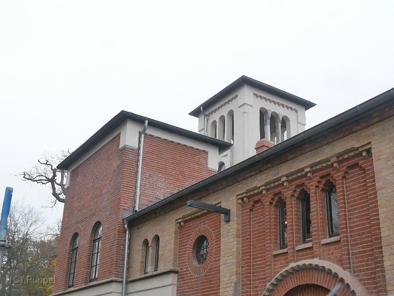 T-20201127-111225_P2710080-gx1.JPG