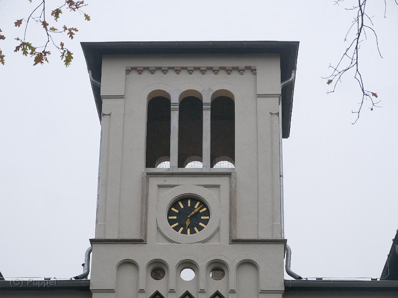 T-20201127-111822_P2710098-gx1.JPG