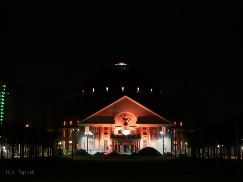T-20201125-202107_P2670552-gx1.JPG