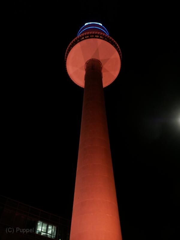 T-20201125-203252_P2670623-gx1.JPG