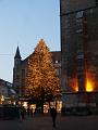 T-20201216-161742_P2950311-gx1