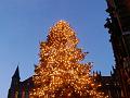 T-20201216-162828_P2950428-gx1