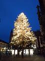 T-20201216-164428_IMG_20201216_164427677-g5