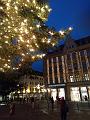 T-20201216-164612_IMG_20201216_164608859-g5