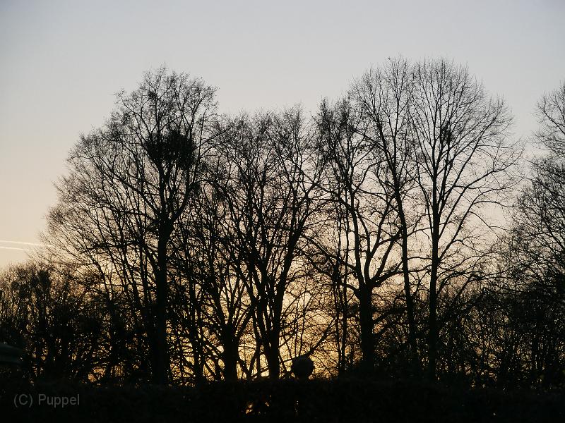 P2950655.JPG