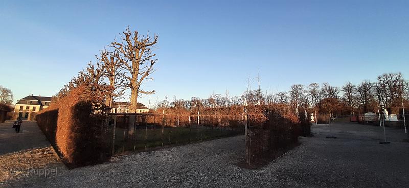 P_20201218_152719.jpg