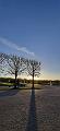 P_20201218_152454