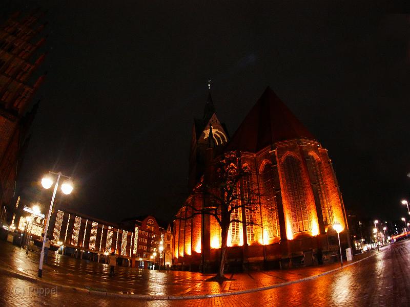 P2950907.JPG