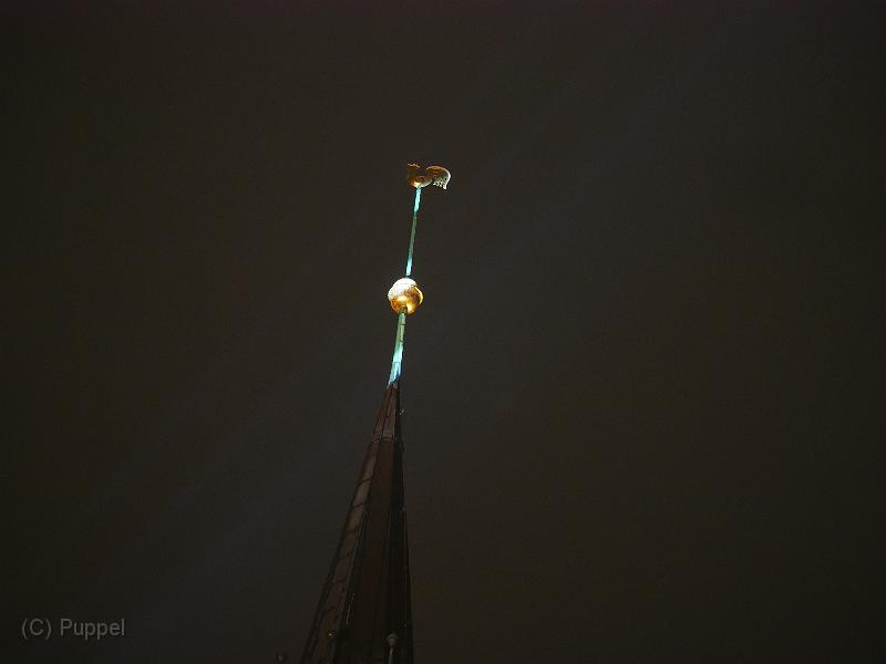 P2950956.JPG
