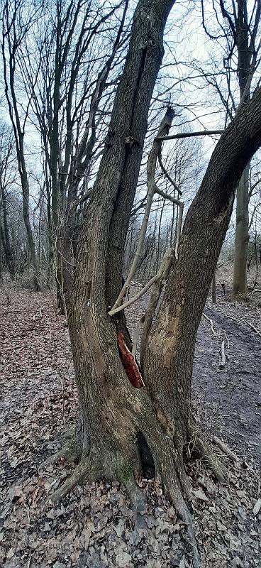 20210116_142739.jpg