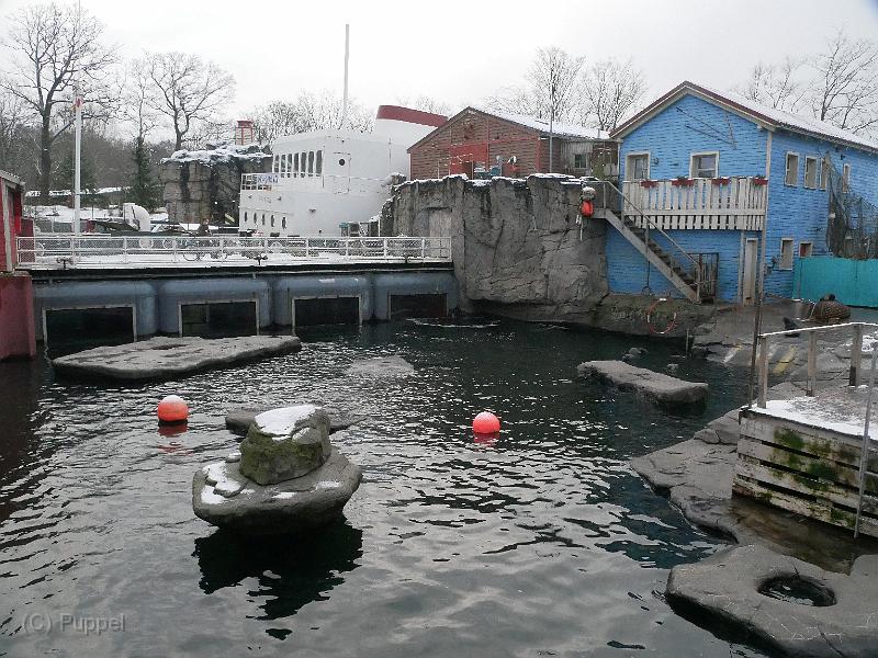 P3100229.JPG
