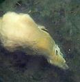 P3110689aa