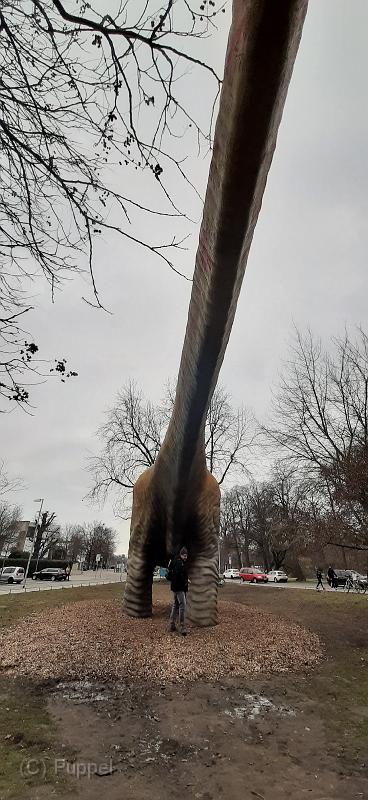 20210116_132023.jpg
