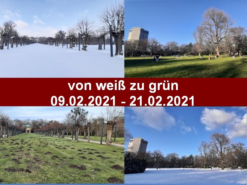 A_weiss-gruen___.jpg
