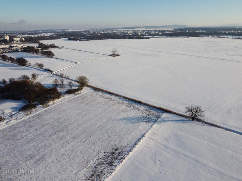 T-20210213-161228_DJI_0227.JPG