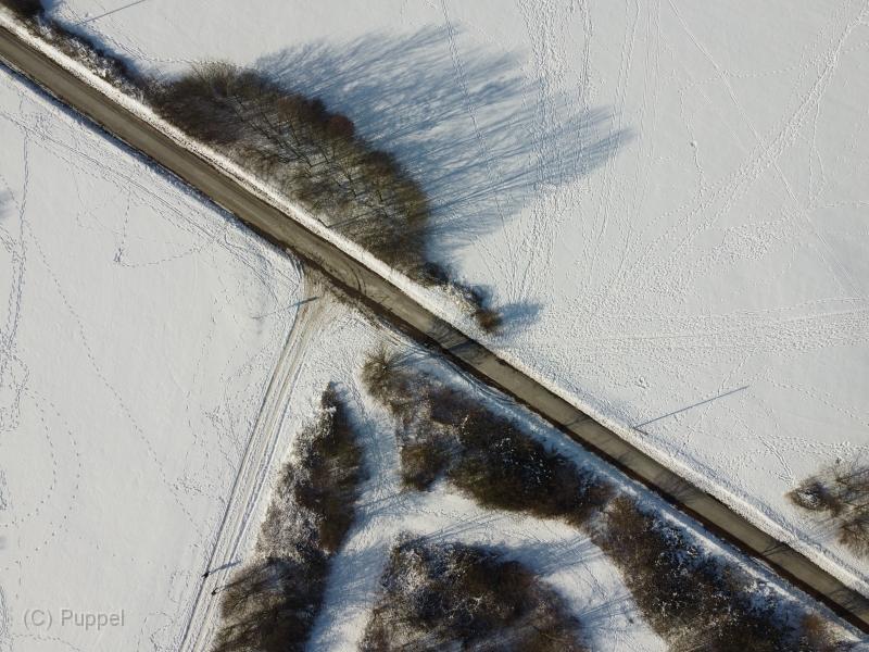 T-20210214-142944_DJI_0317.JPG