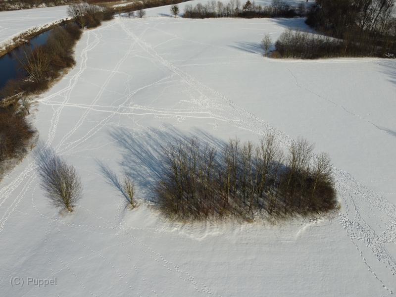 T-20210214-143608_DJI_0353.JPG