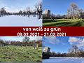 A_weiss-gruen___