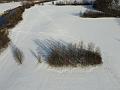 T-20210214-143608_DJI_0353