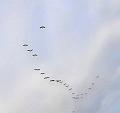 T-20210211-165710_20210211_165709a
