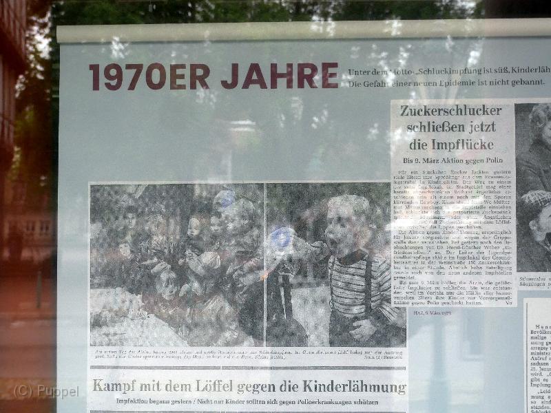 P5560155.JPG