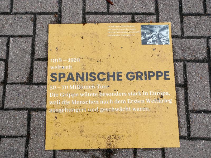 P5560342.JPG