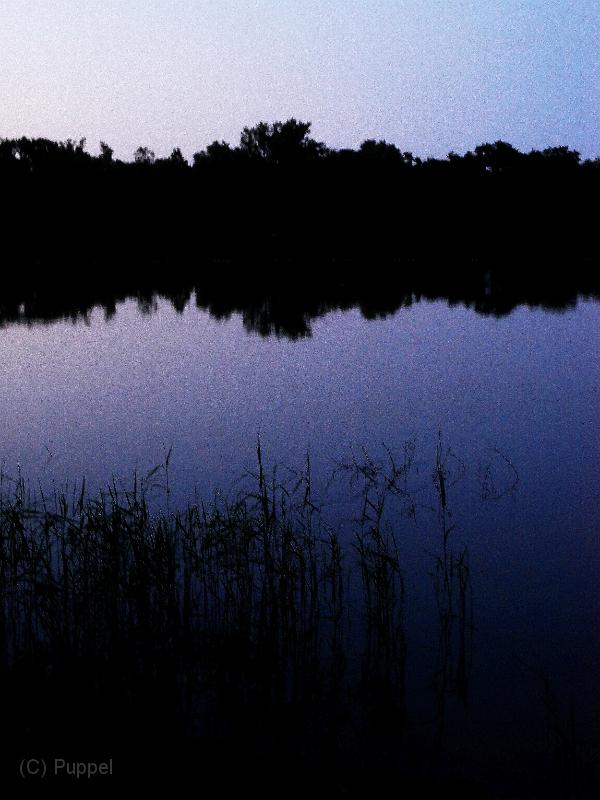 P6930385a.jpg