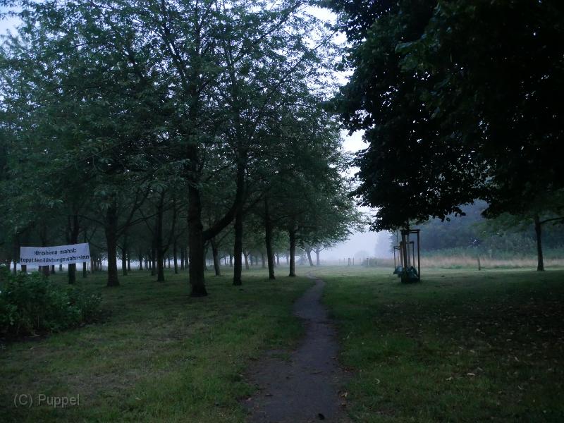 P6990991.JPG