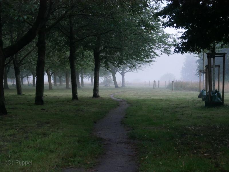 P7000001.JPG