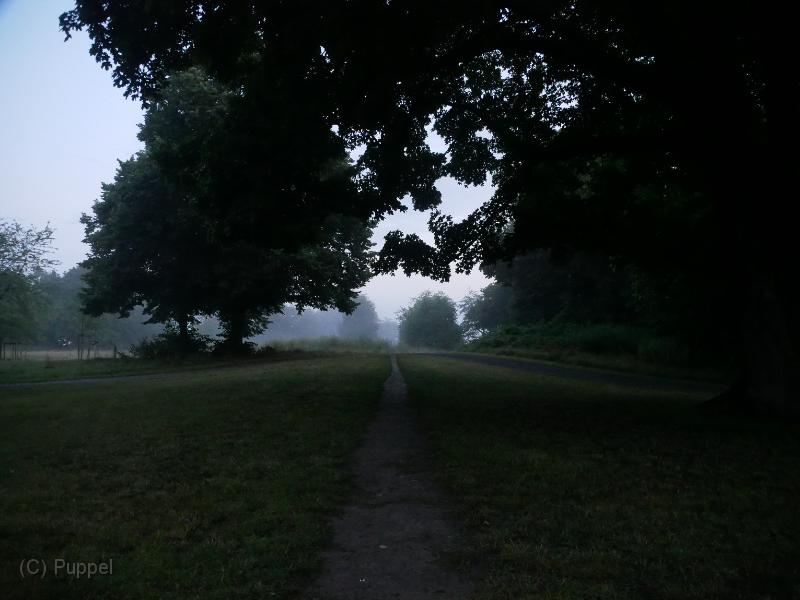 P7000005.JPG