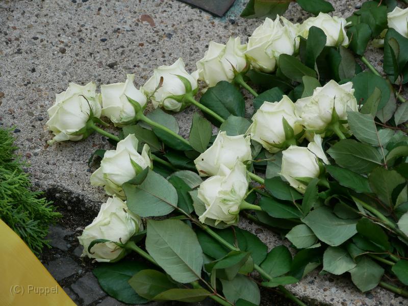 P7030694.JPG