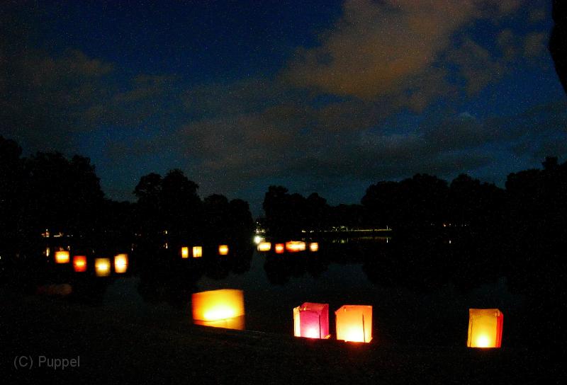 P7100998a.jpg