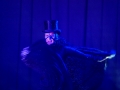 P8280476.JPG_s