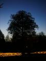 d_005_P8890708
