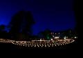 d_005_P8890803a