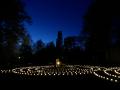 d_005_P8890865