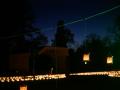 d_010_P8900134